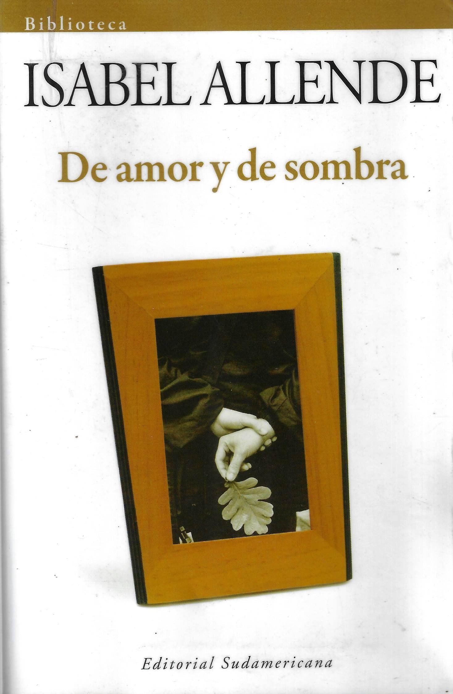 de amor y de sombra De amor y de sombra